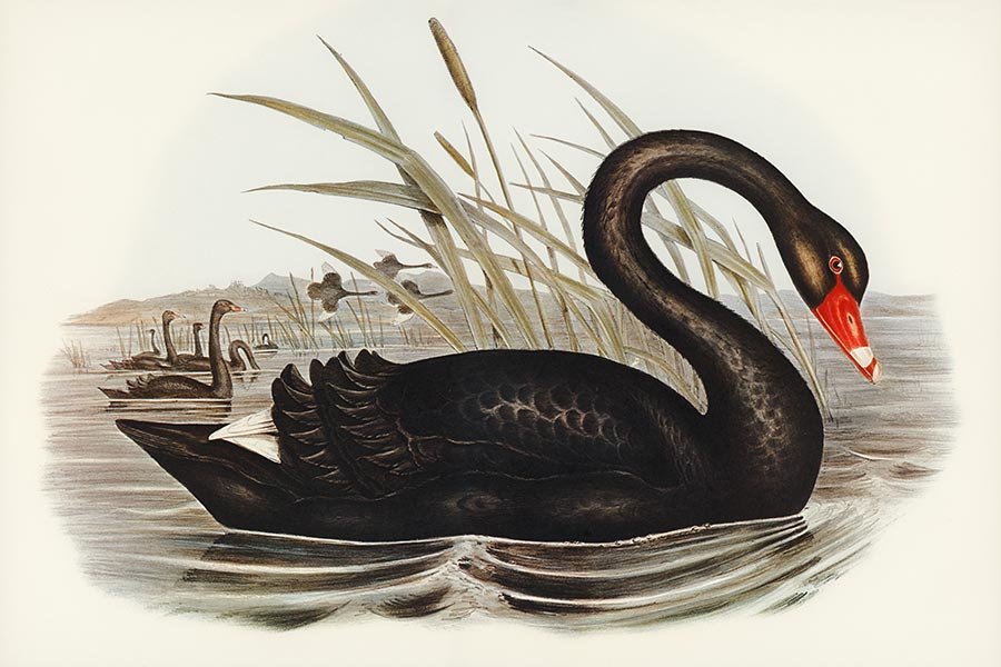 The Influence of Art on Contemporary Styles